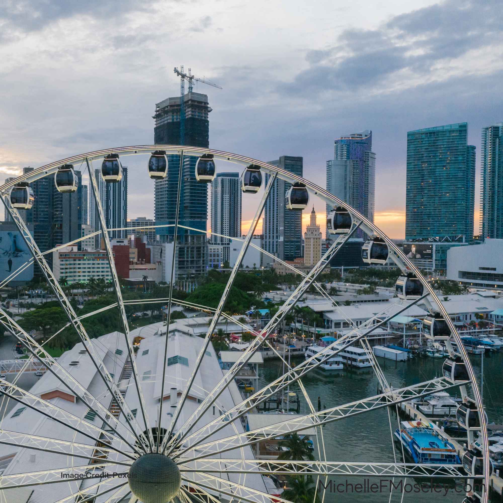 City View Ferris Wheel in Miami, FL.  Counseling and therapy services are offered throughout the state of FL.